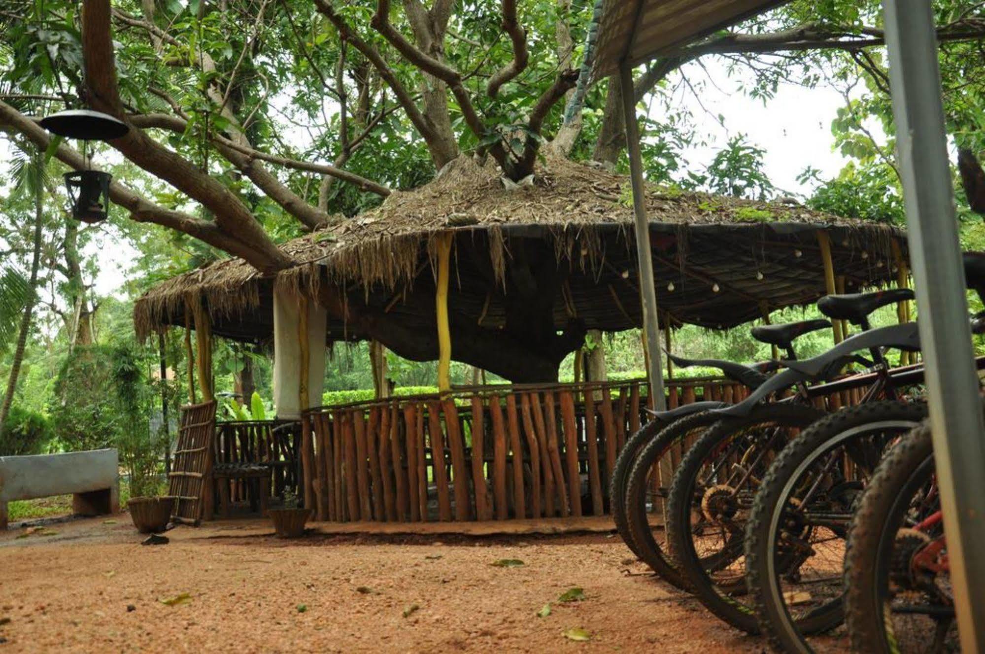 Sujatha Tourist Rest Hotell Dambulla Eksteriør bilde